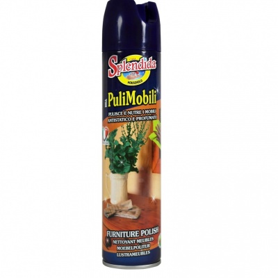 LA SPENDIDA 300ML. PULIMOBILI